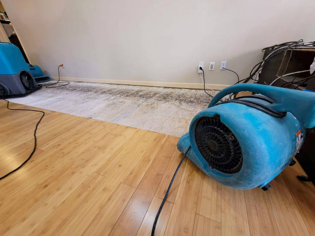 Professional Sewage Cleanup technician working in Splendora, TX